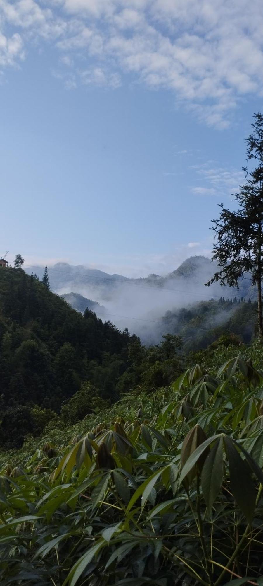 Huy Man Homestay Ha Giang Exterior photo